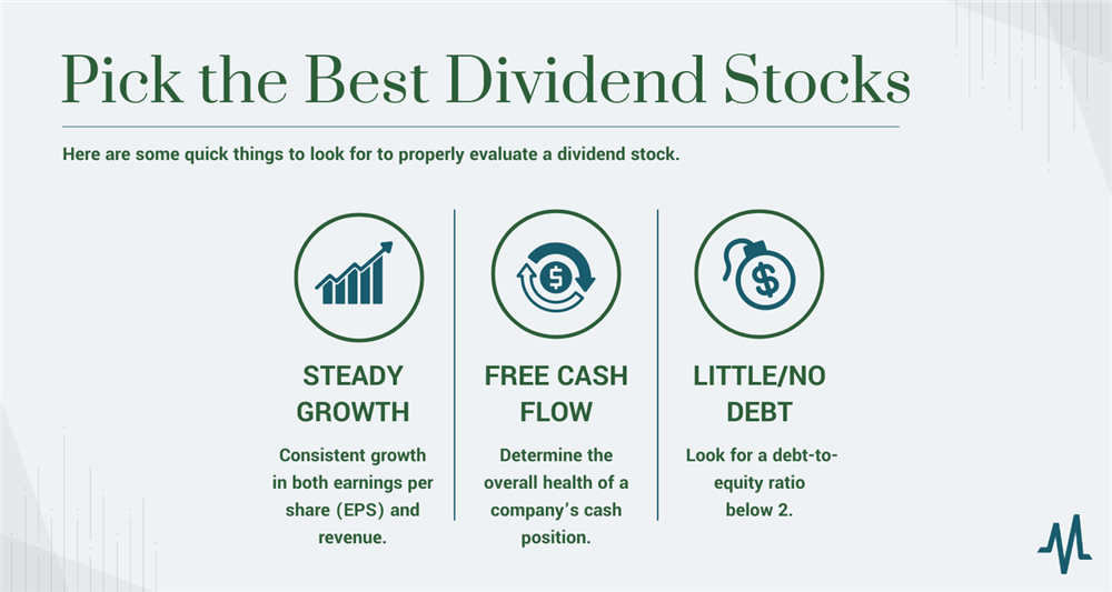 10 Best Dividend Stocks For 2024 Bamby Carline